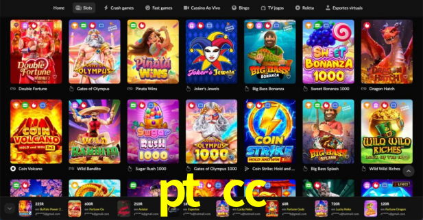 Premium Interface pt cc